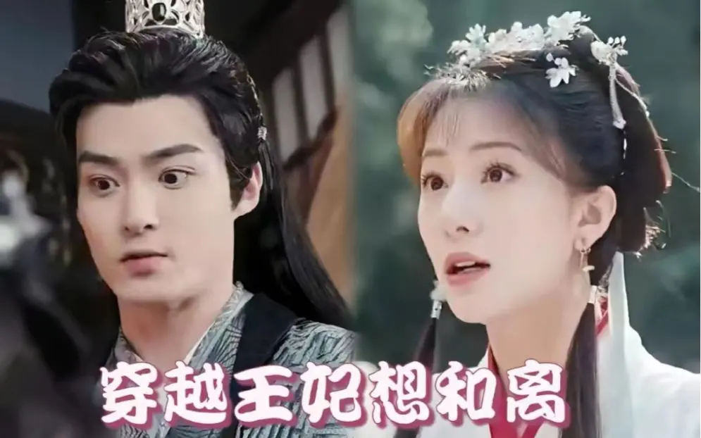 《穿越王妃想和离》：爆笑穿越剧！看现代打工人如何智斗古代王爷，逆袭人生！